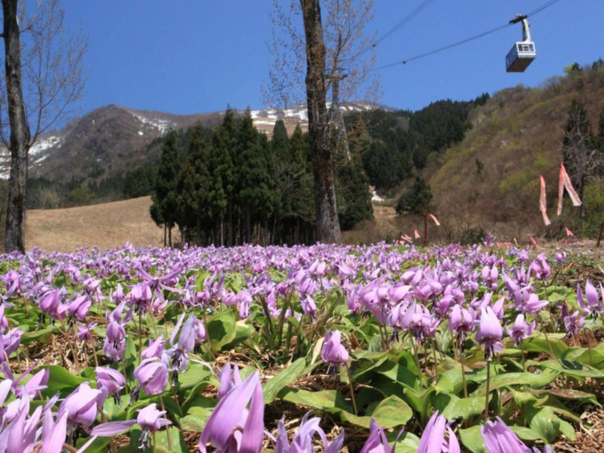 Pension Come Healing Tatami-Room- Vacation Stay 14980 Minamiuonuma Exterior photo